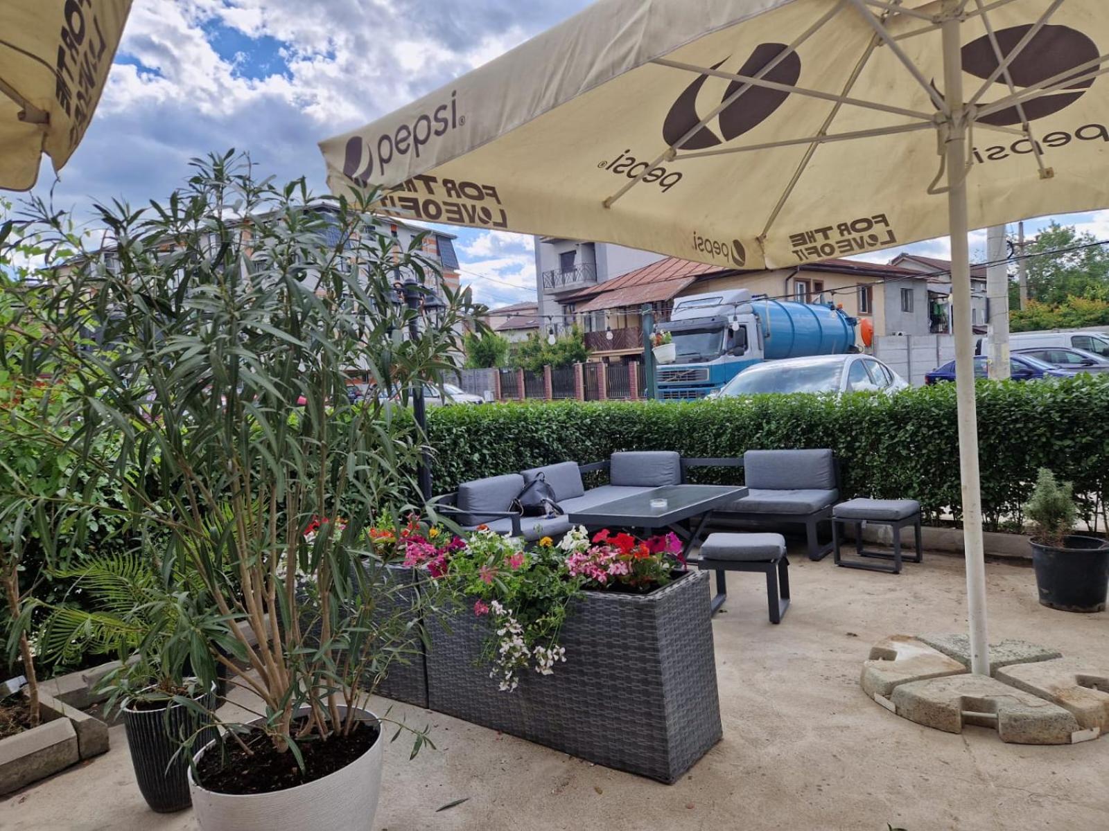 Albert Hotel Roşu 外观 照片