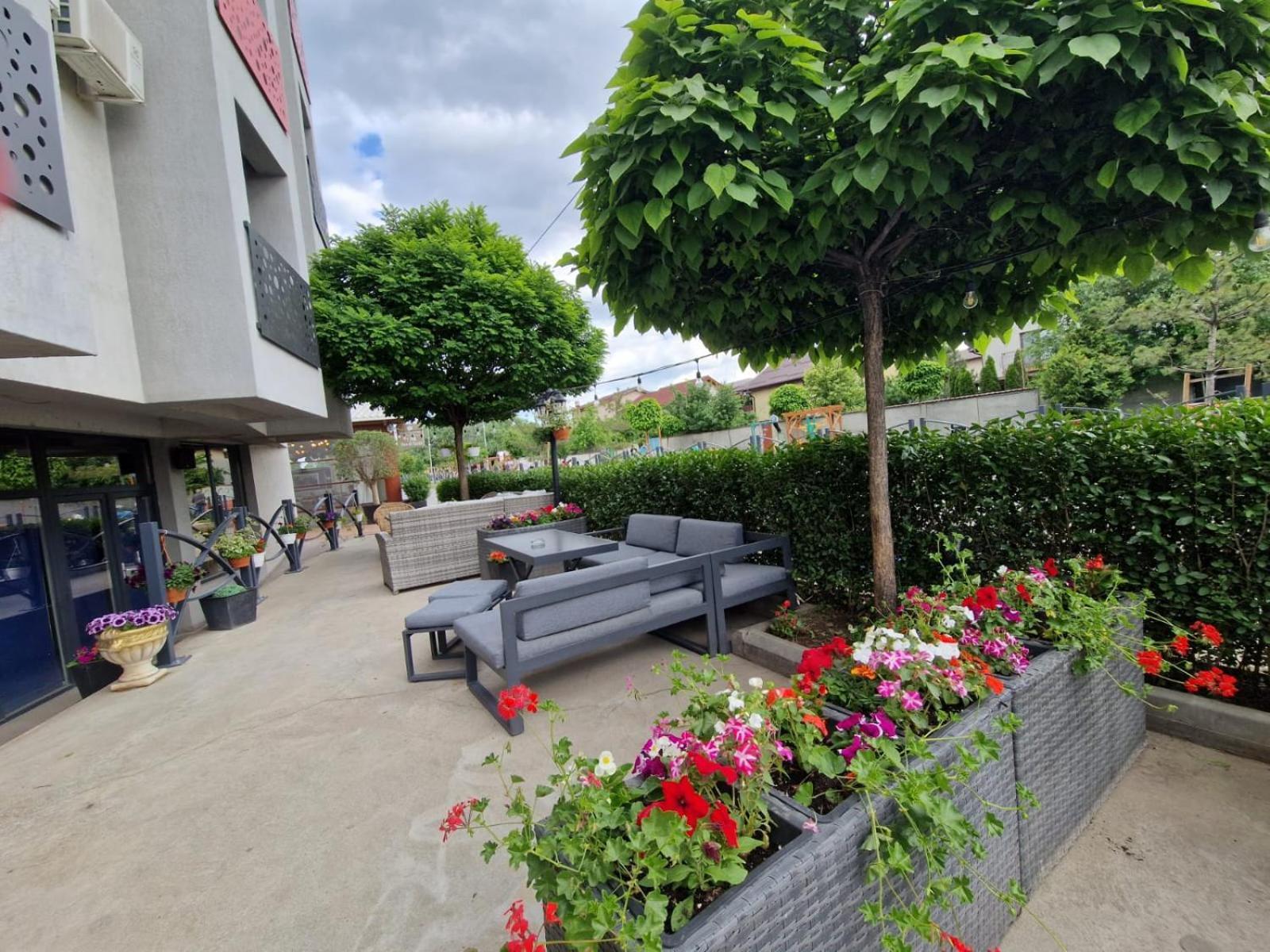 Albert Hotel Roşu 外观 照片