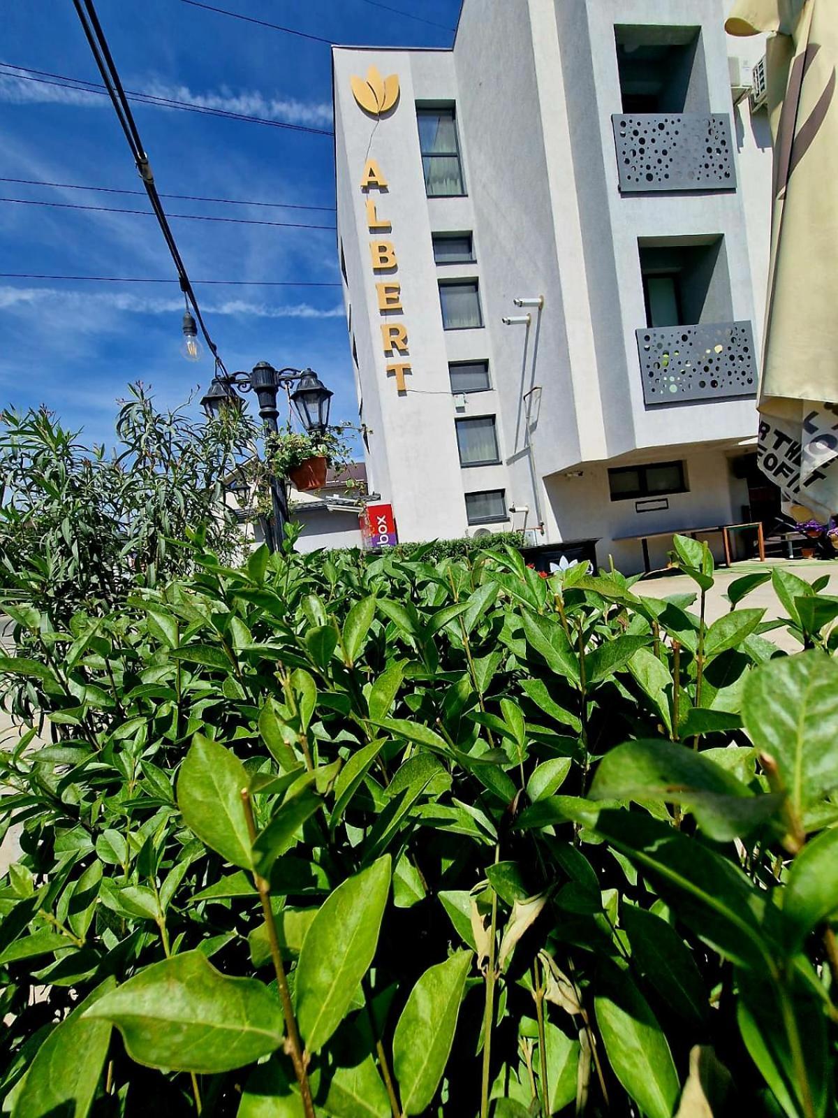 Albert Hotel Roşu 外观 照片